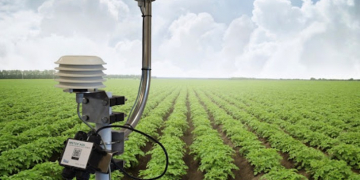 Metos UK unveils new potato tech