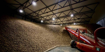 Continental Farmers Group launched the most modern in Ukraine potato storage facility