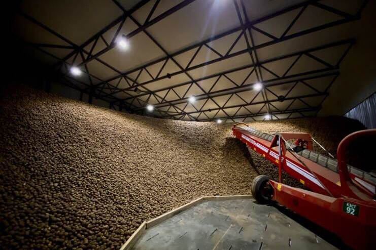 Continental Farmers Group launched the most modern in Ukraine potato storage facility