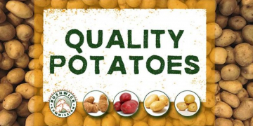 US: Packaging Redesign for Northeast Potato Shipper