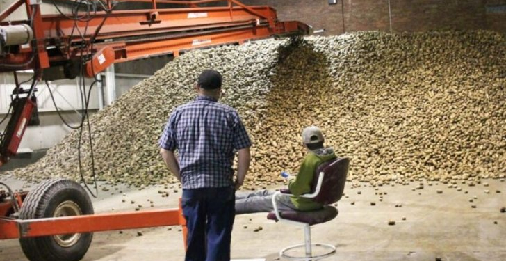 Trucking shortage hinders sale of record Aroostook County potato harvest