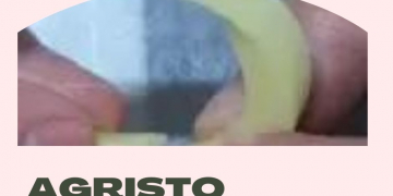 Two Pulsemaster 100 kW Pulsed Electric Field Systems to be Sold to Agristo