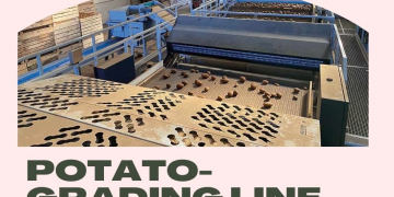 High-tech potato-grading line ups profits for Cornish grower