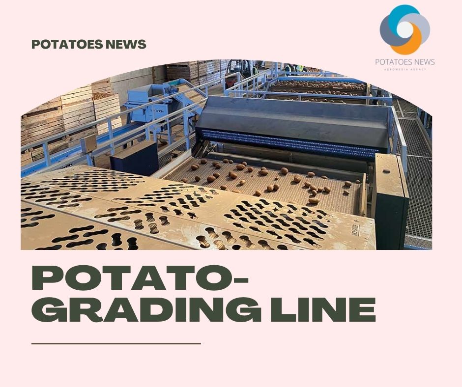 High-tech potato-grading line ups profits for Cornish grower