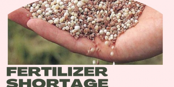 North American fertilizer shortage sparks fears of higher food prices, global nitrogen prices 80% higher