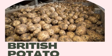 British potato producers’ levies to cover costs of winding-down of potato sector