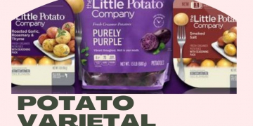 Two Flavor Extensions and a New Proprietary Potato Varietal for The Little Potato Company