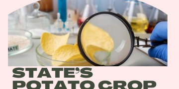 US: Penn State University Experts Help Improve the State’s Potato Crop