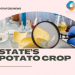 US: Penn State University Experts Help Improve the State’s Potato Crop