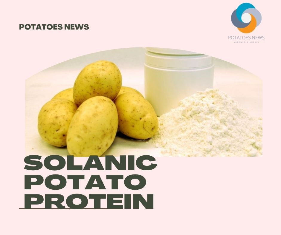Royal Avebe увеличивает производство протеина из картофеля Solanic, чтобы удовлетворить рыночный спрос
