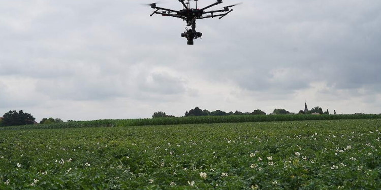 Detecting alternaria with drones