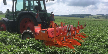 Row-FiX Space: opening doors to potato and flower cultivation