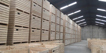 Potato seed company eases farmers’ woes with high-yield certified seeds