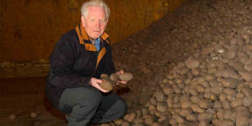 Sharing potatoes in good times and even in bad
