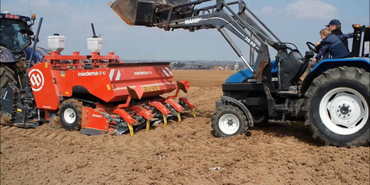 Seed potatoes area