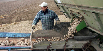 The richest farmers in Germany – are not farmers at all