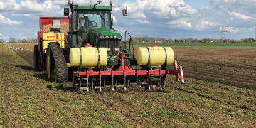 How to grow potatoes using minimal tillage