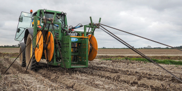 Seed potatoes harvestedfrom wide bed cultivation1st learning year
