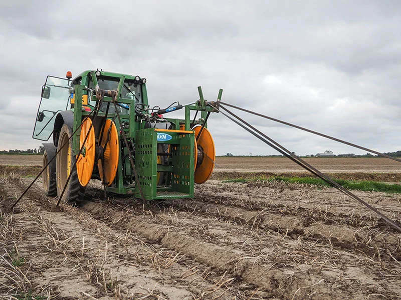 Seed potatoes harvested<br>from wide bed cultivation<br>1st learning year 12 Seed potatoes harvestedfrom wide bed cultivation1st learning year