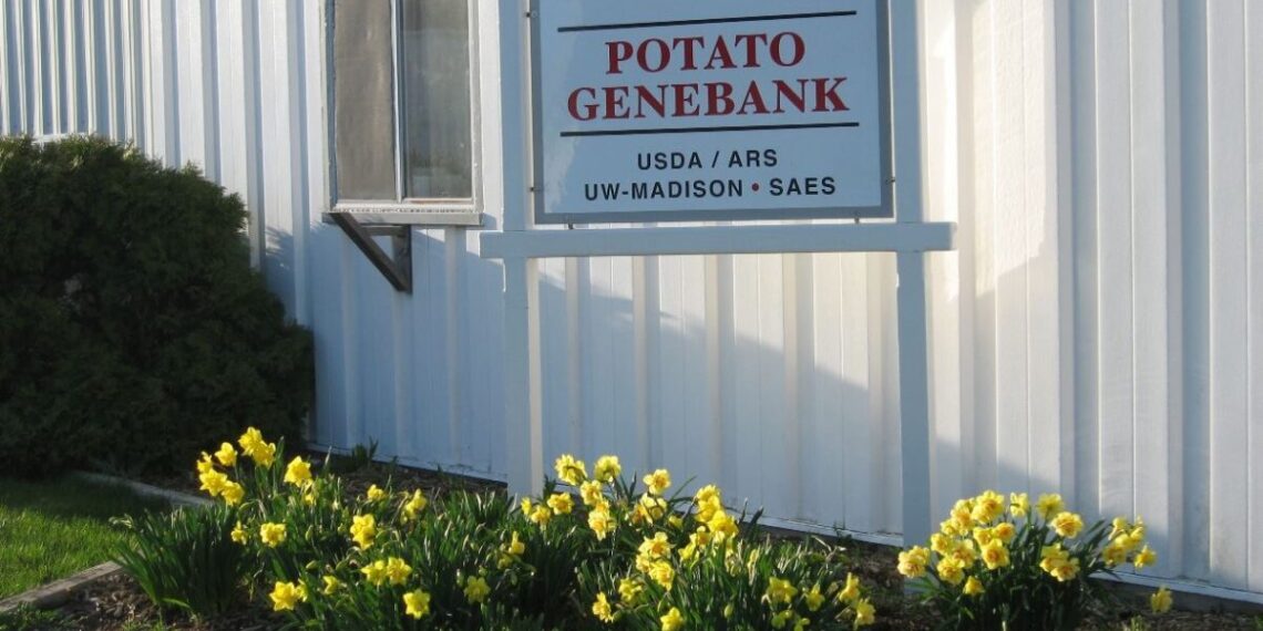 U.S. Potato Genebank