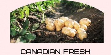 Canadian Fresh and Processed Potatoes on the Rise This Year