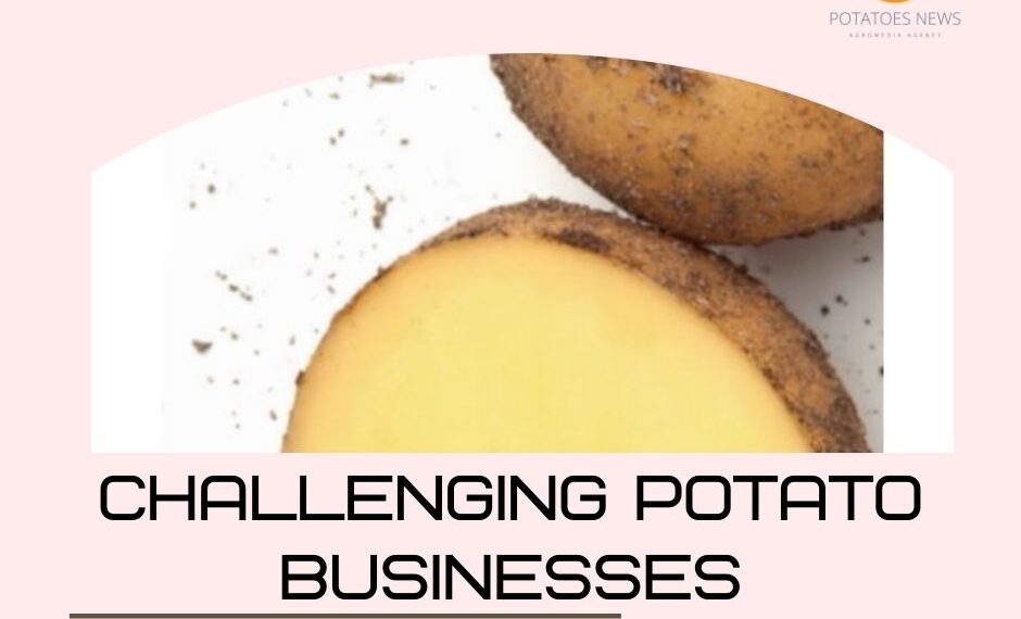 Challenging potato businesses