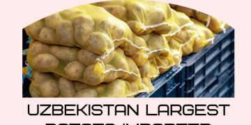 Uzbekistan Could Become the Fifth Largest Potato Importer This Year