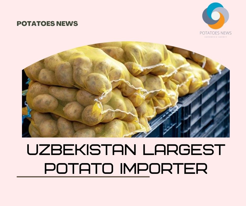 Dh’ fhaodadh Uzbekistan a bhith mar an còigeamh dùthaich as motha a bheir a-steach buntàta am-bliadhna 29 Dh’ fhaodadh Uzbekistan a bhith mar an còigeamh in-mhalairt buntàta as motha am-bliadhna