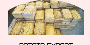 Potato Export Demand Remains Good