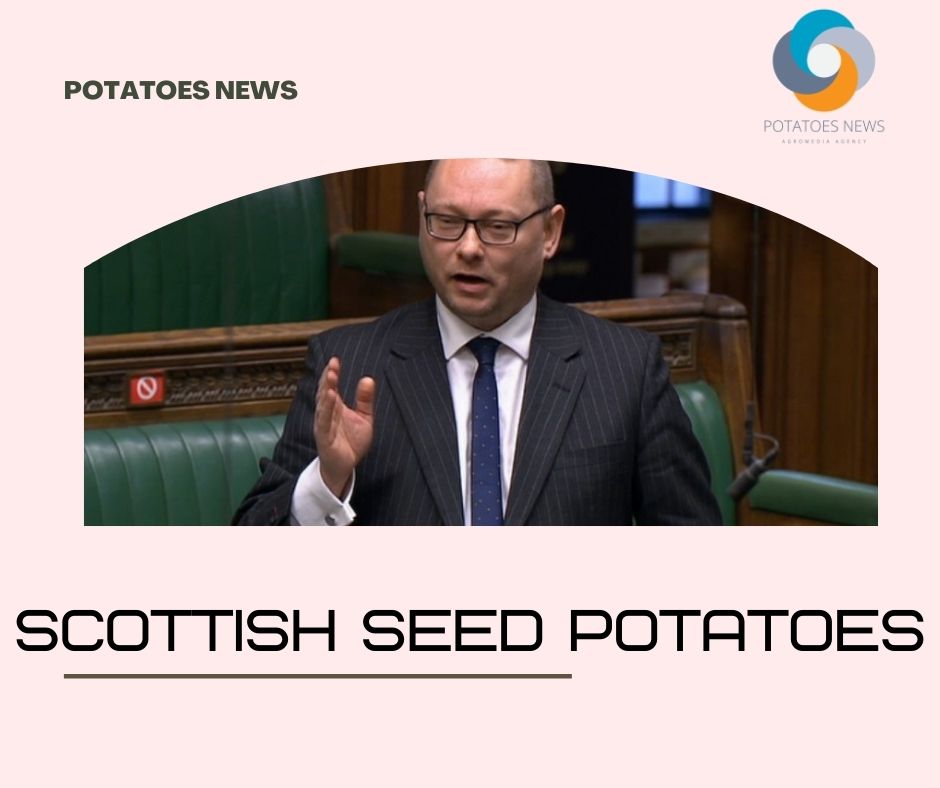 Scottish seed potatoes