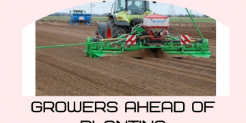 Key actions and decisions for growers ahead of planting