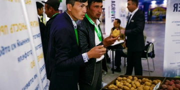 Uzbekistan may become one of the five largest potato importers in the world by the end of 2021