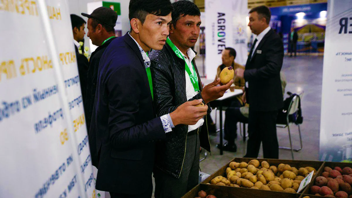 Dh’fhaodadh Uzbekistan a bhith mar aon de na còig dùthchannan as motha a bhios a’ toirt a-steach buntàta san t-saoghal ro dheireadh 2021 31 Dh’ fhaodadh Uzbekistan a bhith mar aon de na còig prìomh luchd-in-mhalairt buntàta san t-saoghal ro dheireadh 2021.