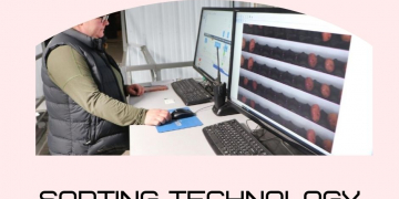 North Dakota potato operation bets on cutting-edge sorting technology