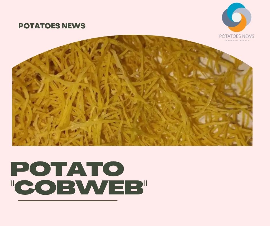 In Chelyabinsk, they came up with a potato "cobweb" 55 In Chelyabinsk, they came up with a potato “cobweb”