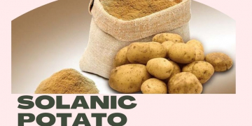 EUR66m Investment in Solanic Potato Protein Capacity