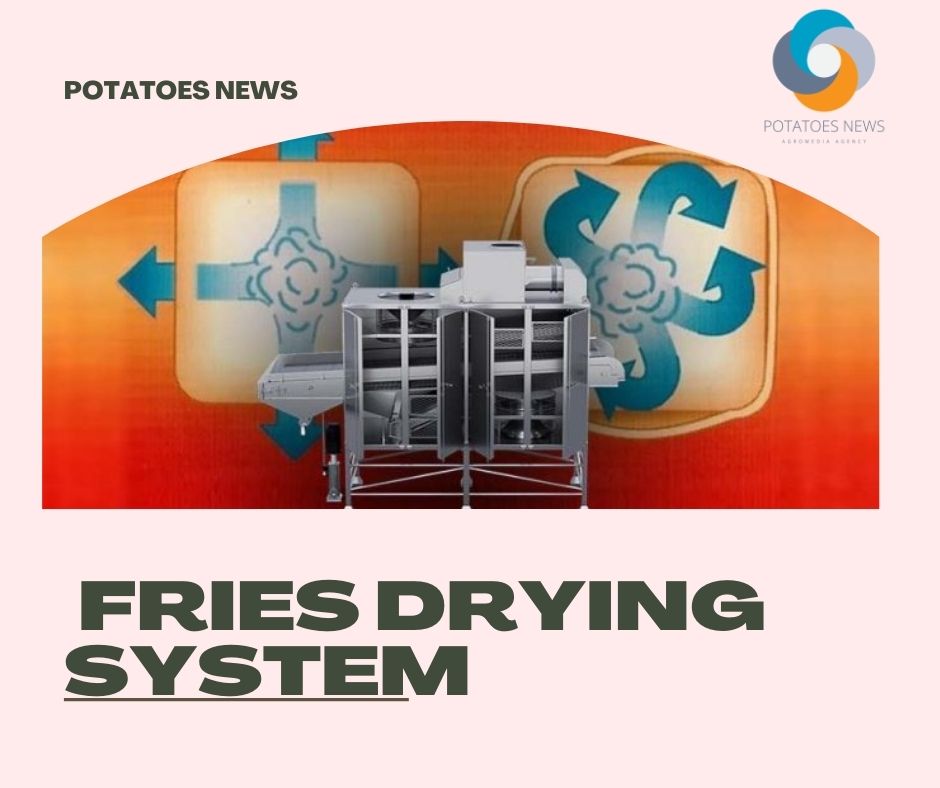 New Rosenqvists Belt French Fries Drying System 37 New Rosenqvists Belt French Fries Drying System
