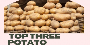 Nigeria Aims to Become a Top Three Potato Producing Country by 2025