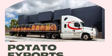 Abrupt Chilean Potato Exports Decrease in 2021