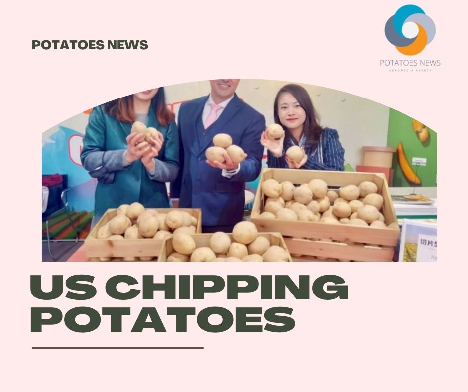 Historic display of US chipping potatoes at tradeshow in Shanghai, China 48 Historic display of US chipping potatoes at tradeshow in Shanghai, China