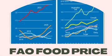 November marked a further increase in the value of the FAO Food Price Index