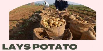 PepsiCo loses rights to Lays potato variety in India