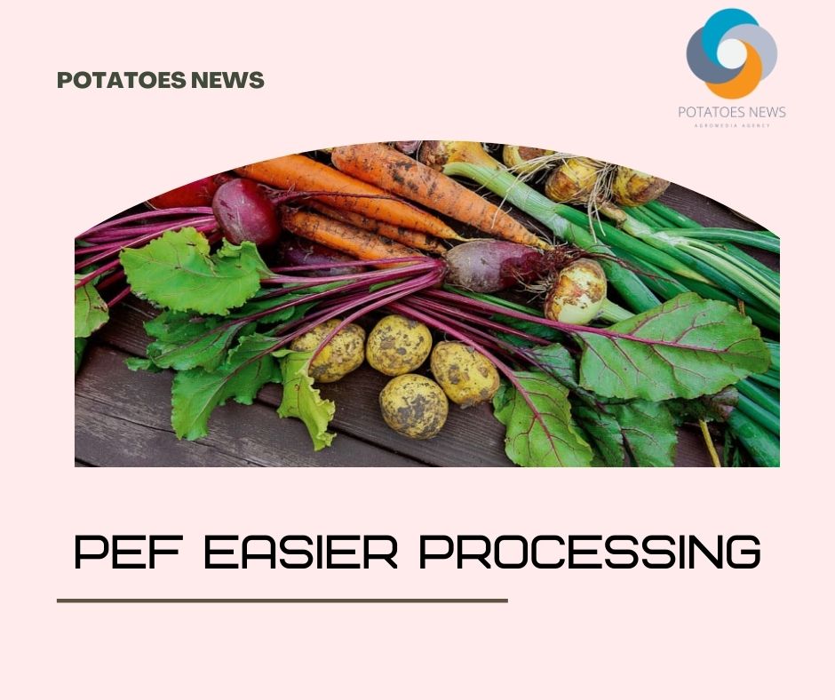 PEF promises easier processing 38 PEF promises easier processing