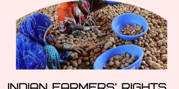 Opinion: Indian farmers’ rights and Pepsico’s ‘hot potato’