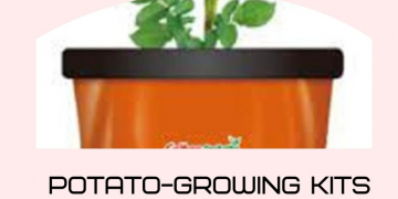 Calbee releases potato-growing kits in Japan