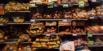 Covenant robust potato varieties fans out across Europe