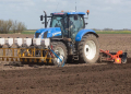 pest wireworms potato