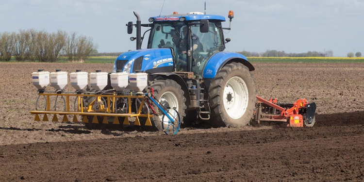 pest wireworms potato