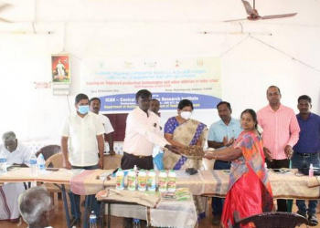 Tenkasi farmers