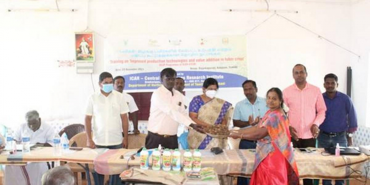 Tenkasi farmers